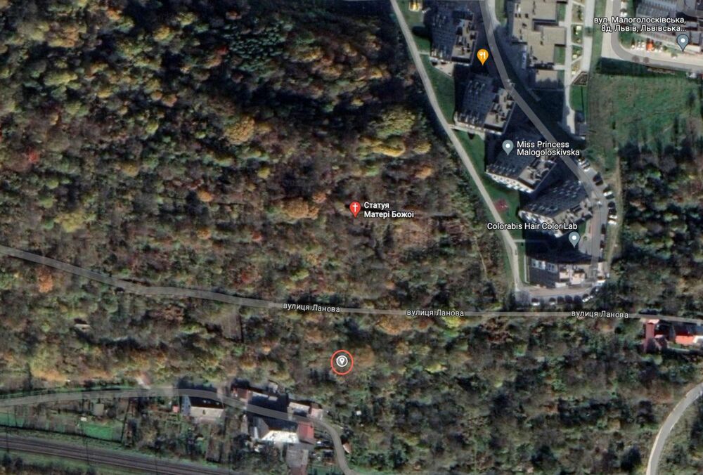 Убийство Фарион: в лесу найден дом, которым мог пользоваться подозреваемый