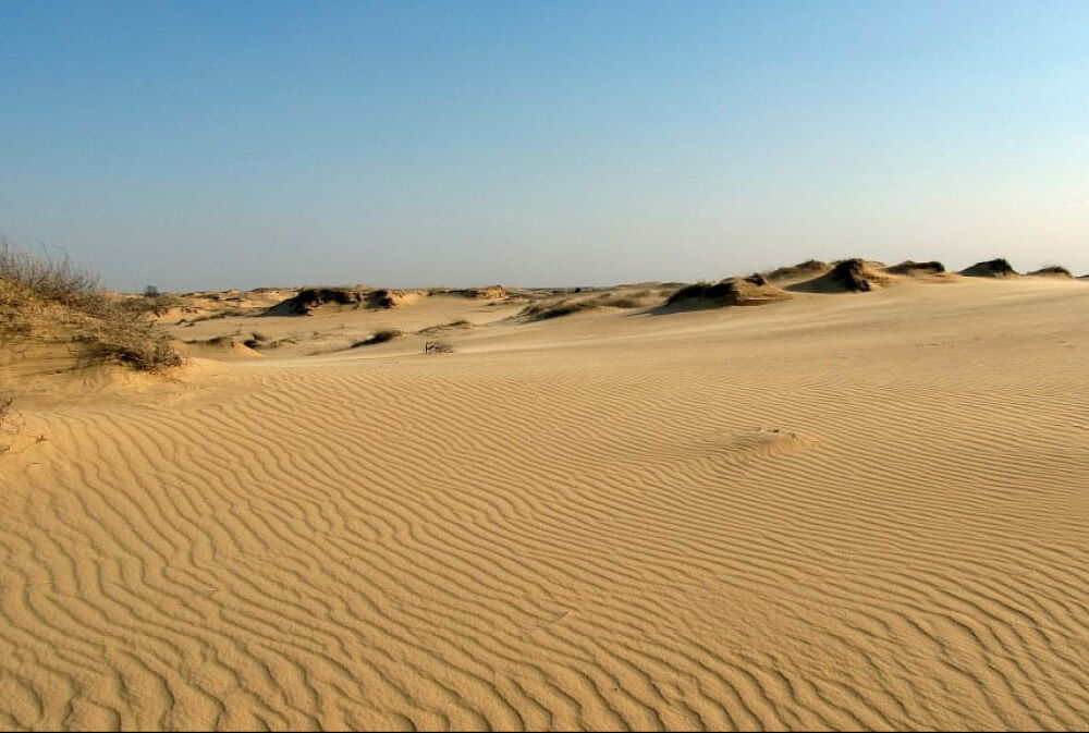 Через 30 лет: ученый предрек превращение Украины в пустыню 