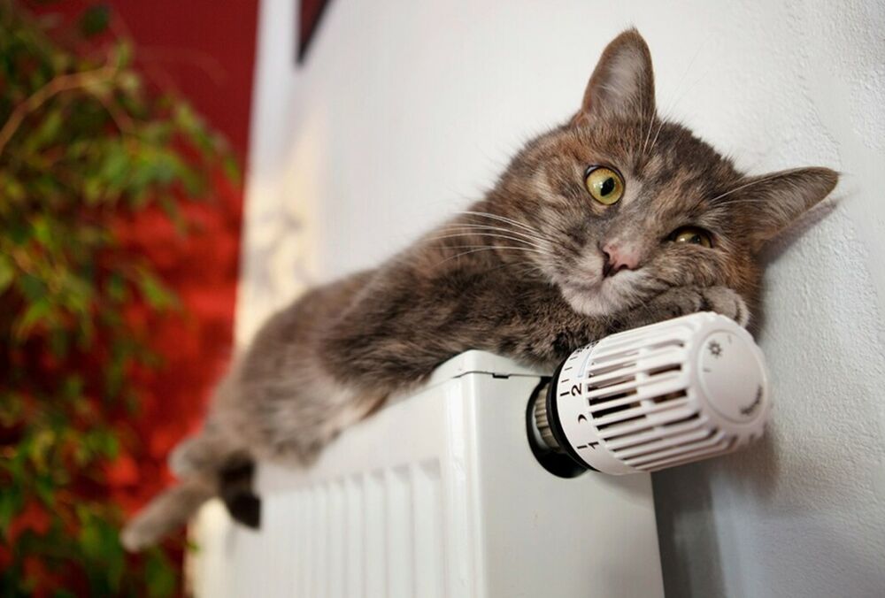 Стало известно, когда киевлянам дадут отопление