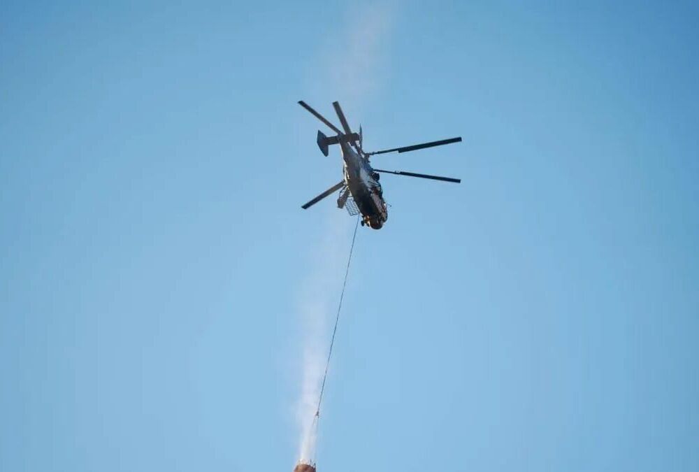 Лісові пожежі в Туреччині вдалося взяти під контроль