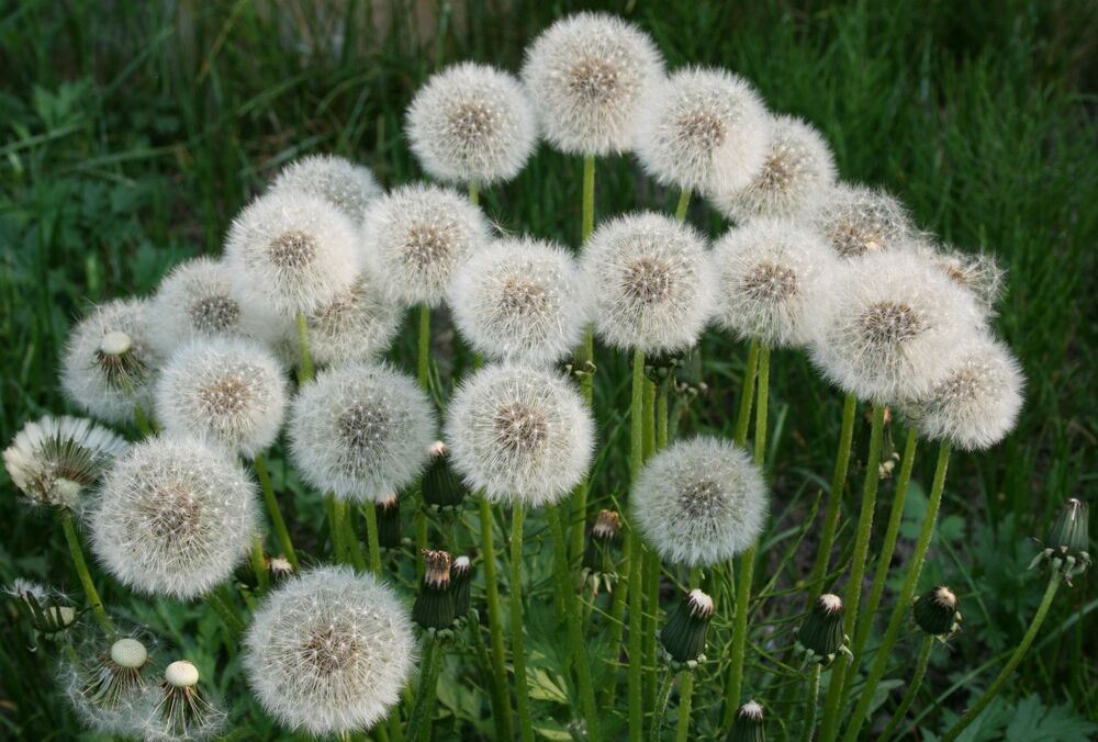 Погода в Україні: яким буде останній день травня