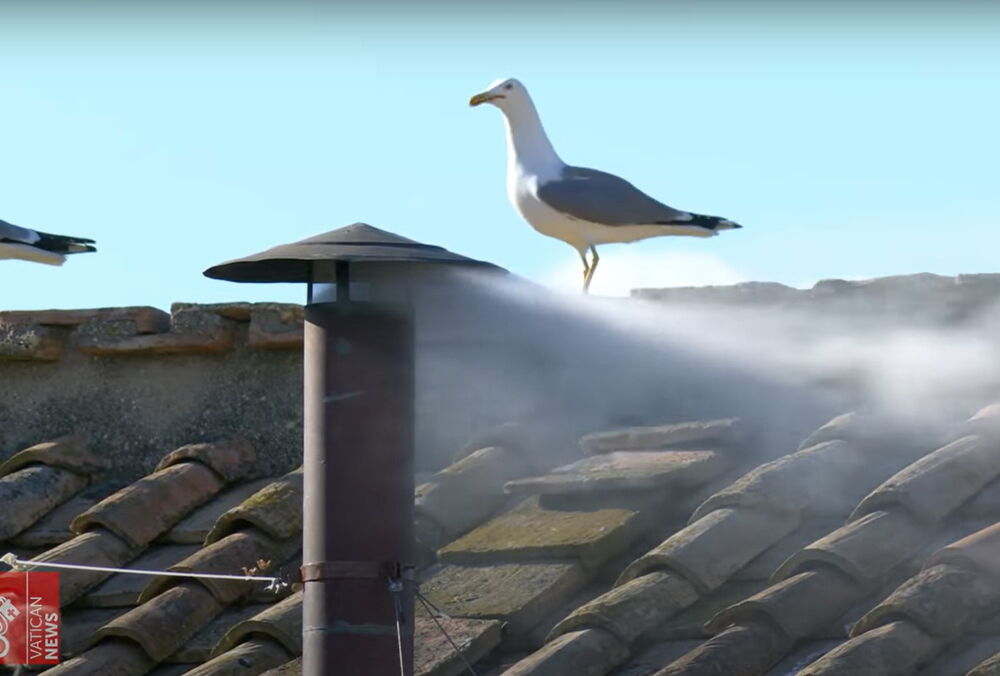 Конклав выбрал нового Папу Римского - Льва XIV