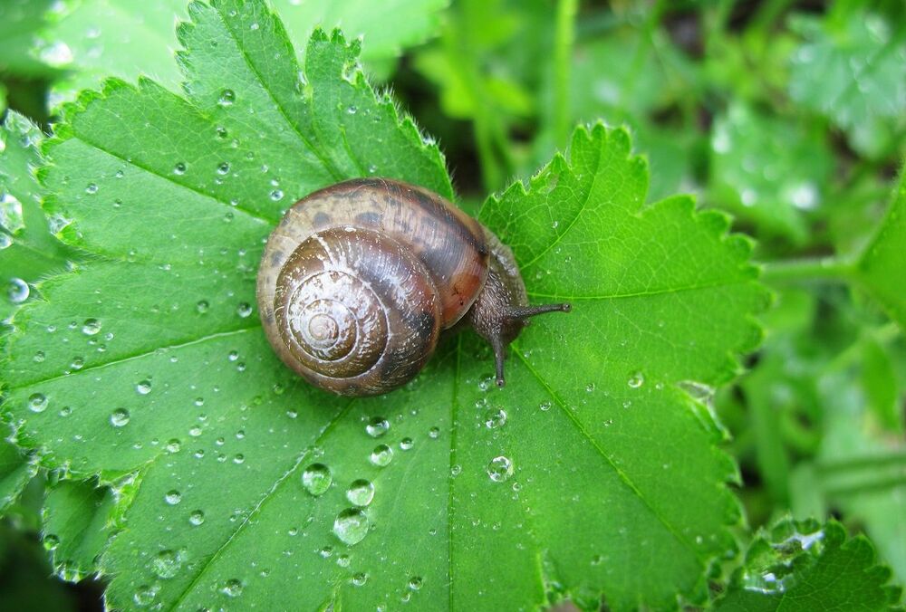 Прогноз погоди: літо в Україні почнеться з похолодання