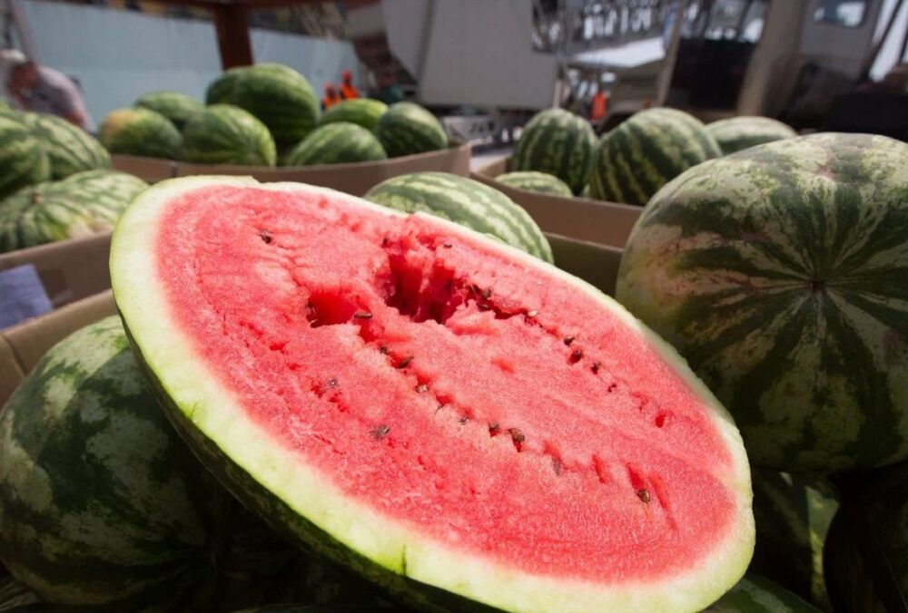 Украина надолго останется без херсонских арбузов и помидоров: эксперт озвучил страшный прогноз