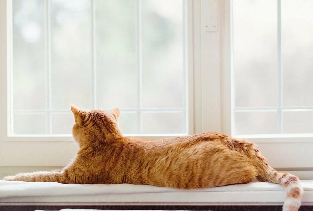 Прогноз погоды в Украине: когда вернется тепло