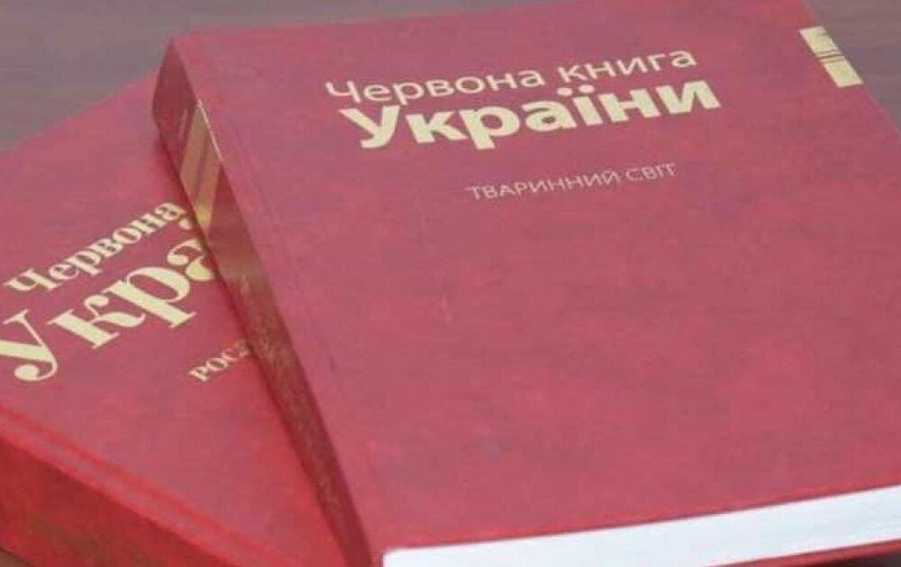 В Красную книгу Украины добавят новые исчезающие растения