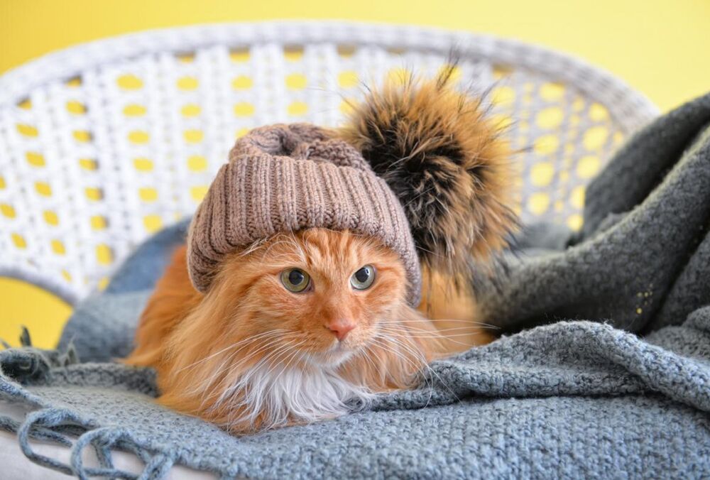 Кличко оголосив про офіційний початок опалювального сезону у Києві