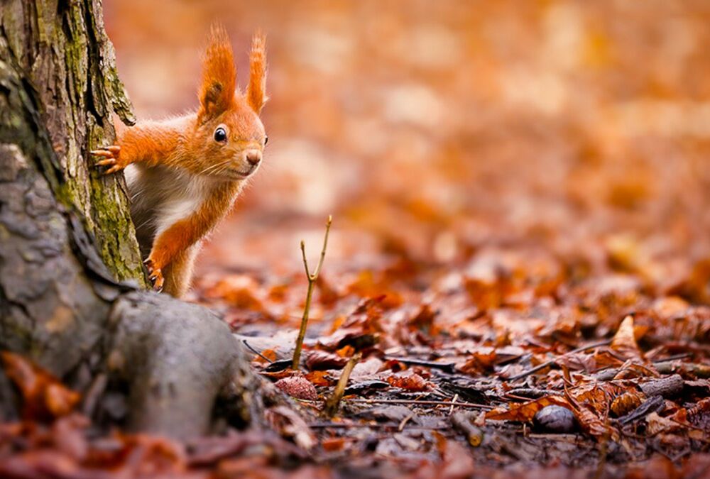 Дощі ненадовго відступили: прогноз погоди в Україні