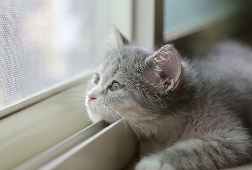 Столбики термометров пошли вверх: прогноз погоды в Украине