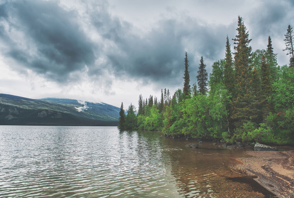 Грози відступають: прогноз погоди в Україні