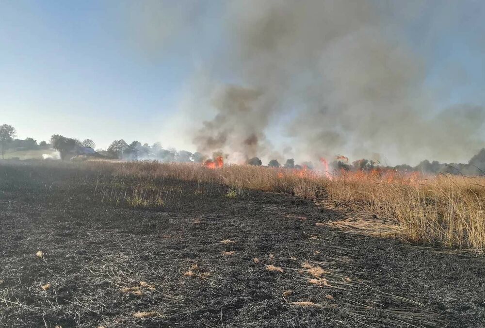 Жителів кількох областей попередили про високу загрозу пожеж