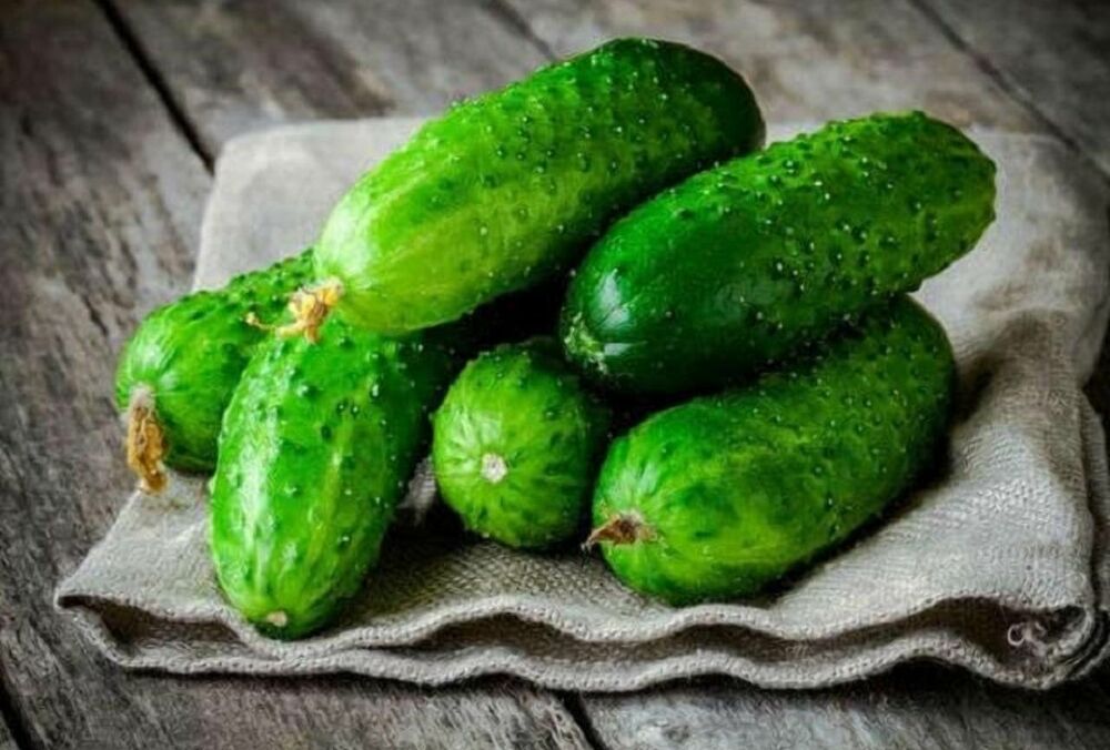 В Украине подорожали огурцы: эксперты назвали причину