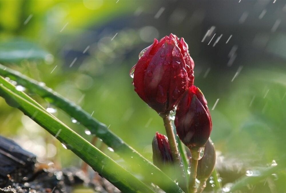 Прогноз на вихідні: кому варто чекати сонця