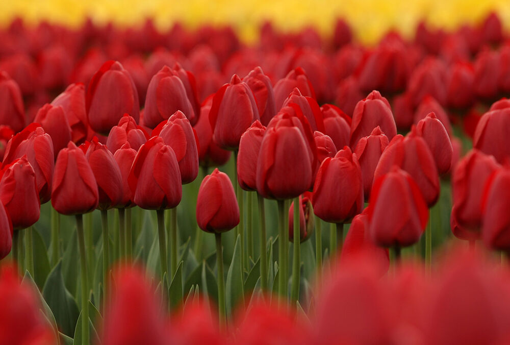 В Україну прийшло похолодання: прогноз синоптиків