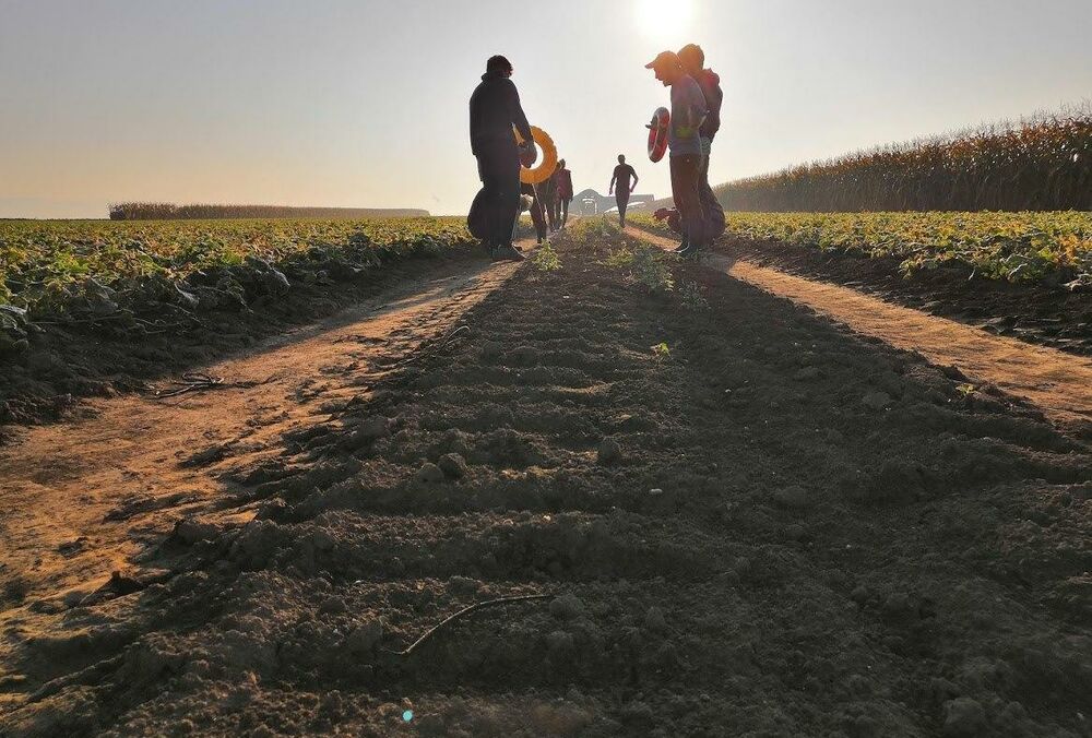 Россияне массово ищут низкоквалифицированную работу в Польше