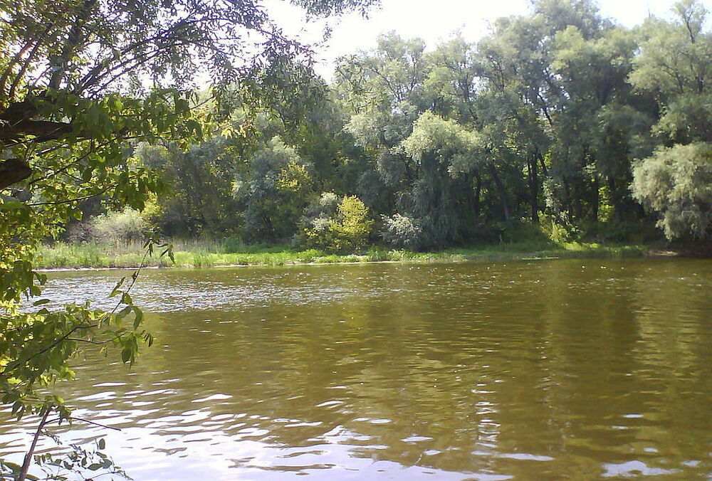 Біля Слов'янська родина підірвалася на міні