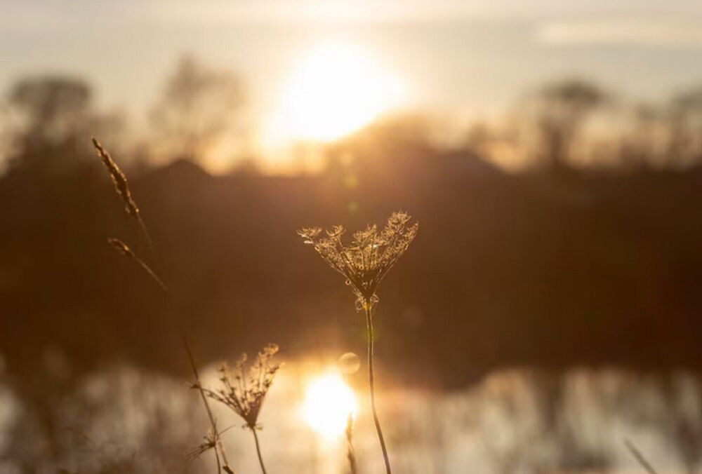 Летнее солнцестояние 21 июня 2025: что это и почему происходит