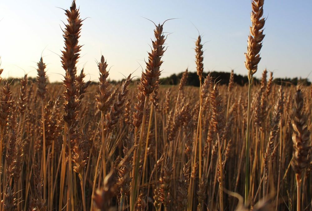 Грози повертаються: прогноз погоди в Україні