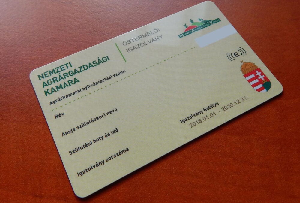 Еврокомиссия требует от Венгрии пояснить упрощенный въезд для россиян и белорусов