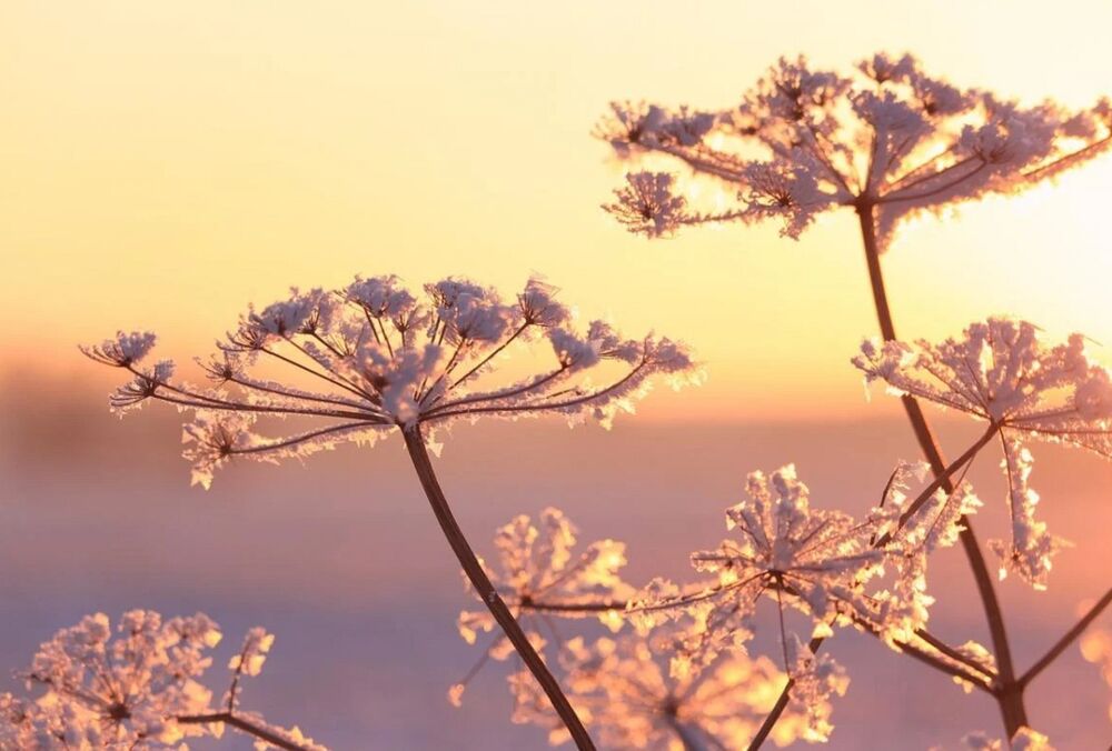 Синоптики предупредили украинцев о существенном похолодании до -15