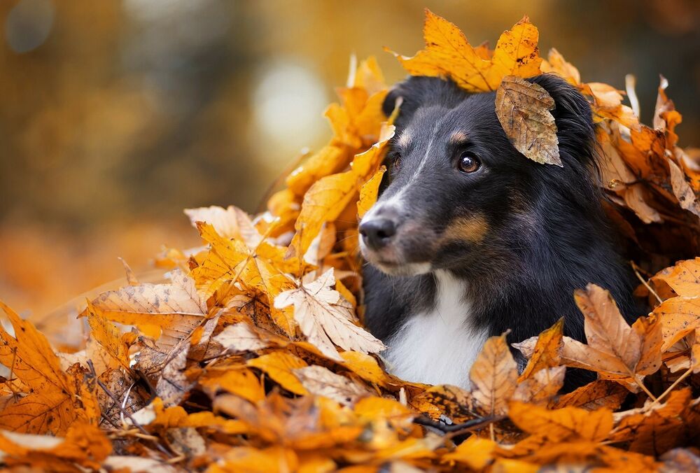 Прогноз погоды: в Украине холодает