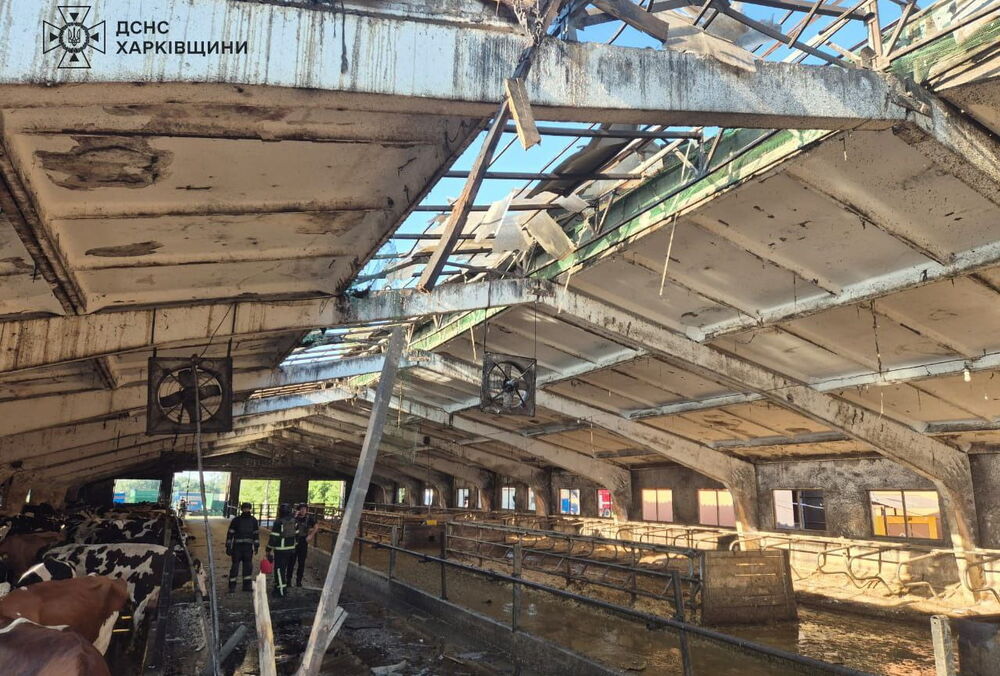 Російські окупанти обстріляли сільгосппідприємство на Харківщині: постраждали корови