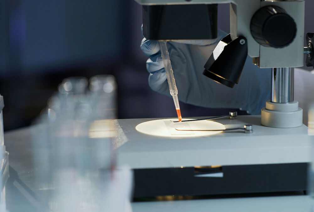 У Польщі виявили перший випадок віспи мавп