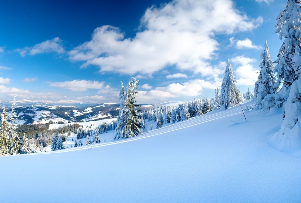 Синоптик рассказала о бесснежной зиме в Украине