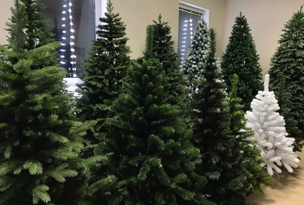 Какие города отказались от новогодних елок в этом году