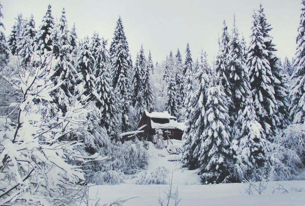 На горі Піп Іван у Карпатах випав сніг та вдарили морози: фото