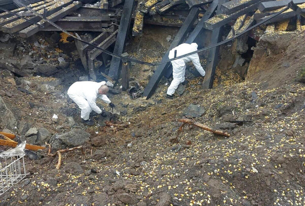 В Польше рассказали, когда появятся результаты расследования падения ракеты