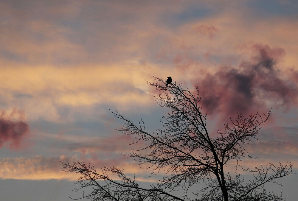 Синоптик предупредила украинцев о нестабильной погоде Синоптик предупредила украинцев о нестабильной погоде