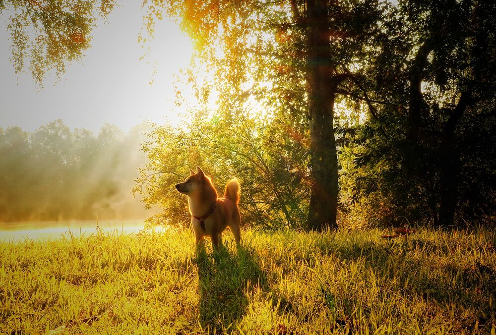 Прогноз синоптиків: якою буде погода в перший день жовтня