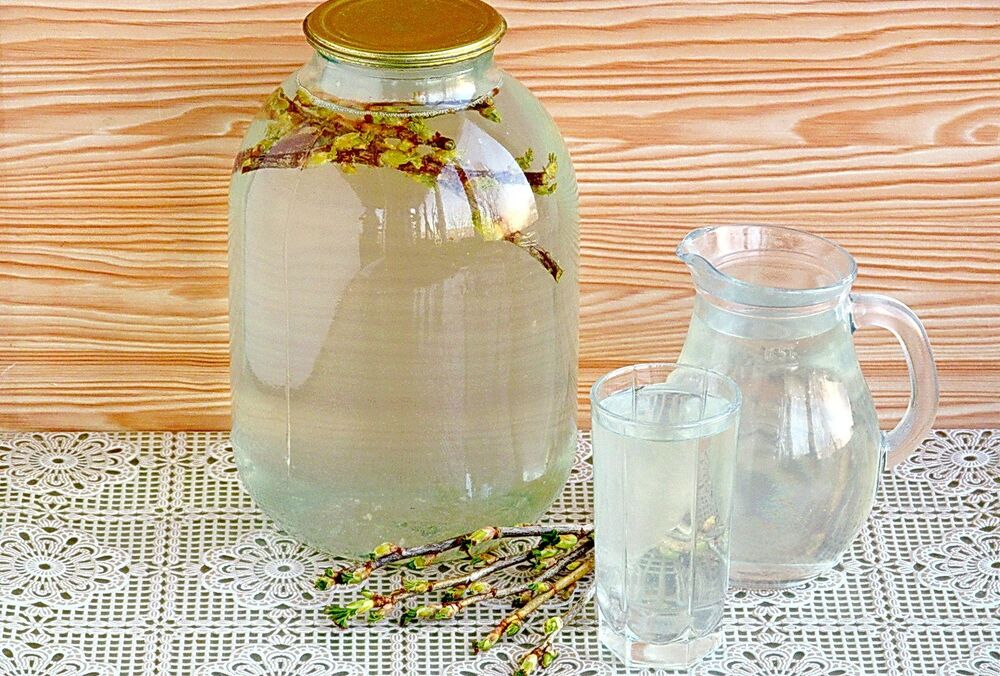 Сезонное лакомство: польза и вред березового сока