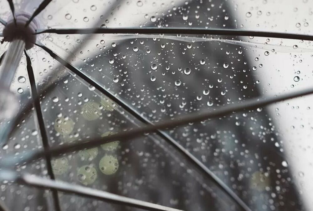 Дожди и снег: прогноз погоды в Украине на 29 ноября