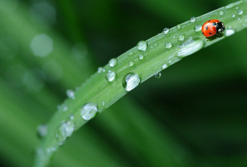 Прогноз погоди: де новий тиждень почнеться з дощів