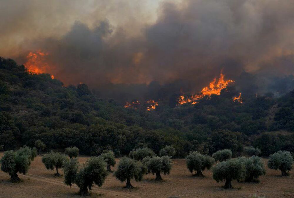 Рекордна спека в Іспанії спричинила масштабні лісові пожежі