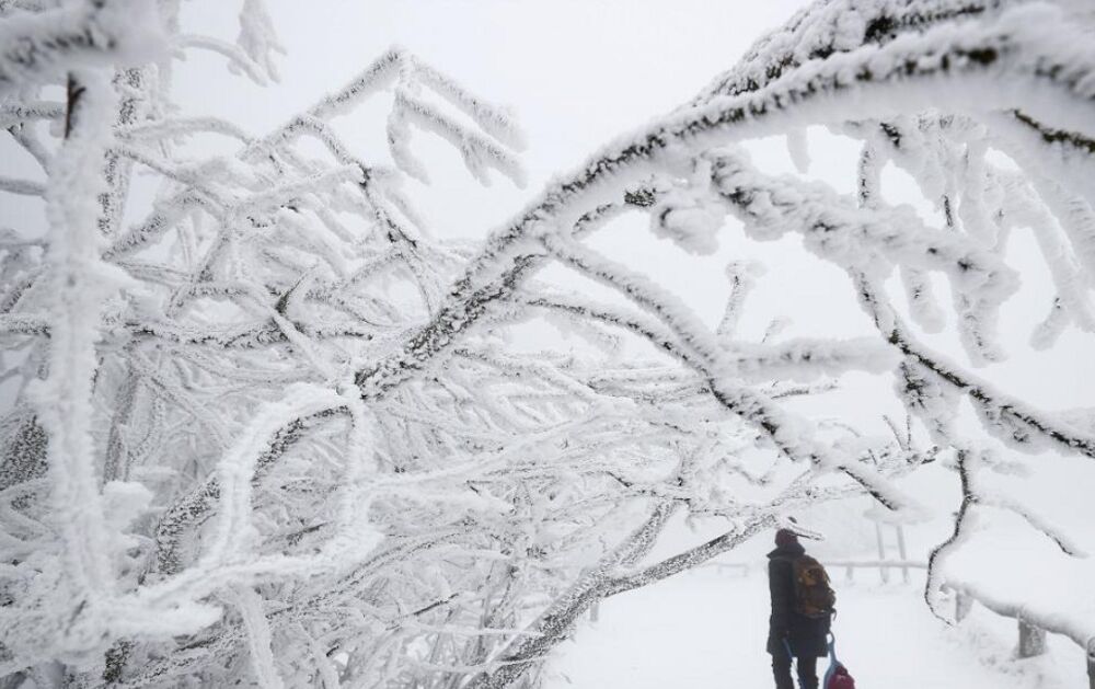 Синоптики попередили про стрімке похолодання в Україні