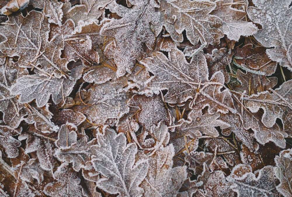 Погода в Украине: кому ждать резкого похолодания Погода в Украине: кому ждать резкого похолодания