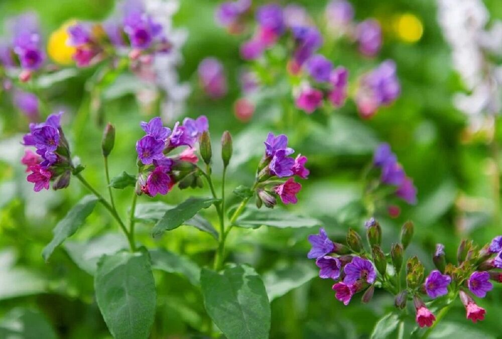 В Украину идет новая волна похолодания: синоптик назвала сроки