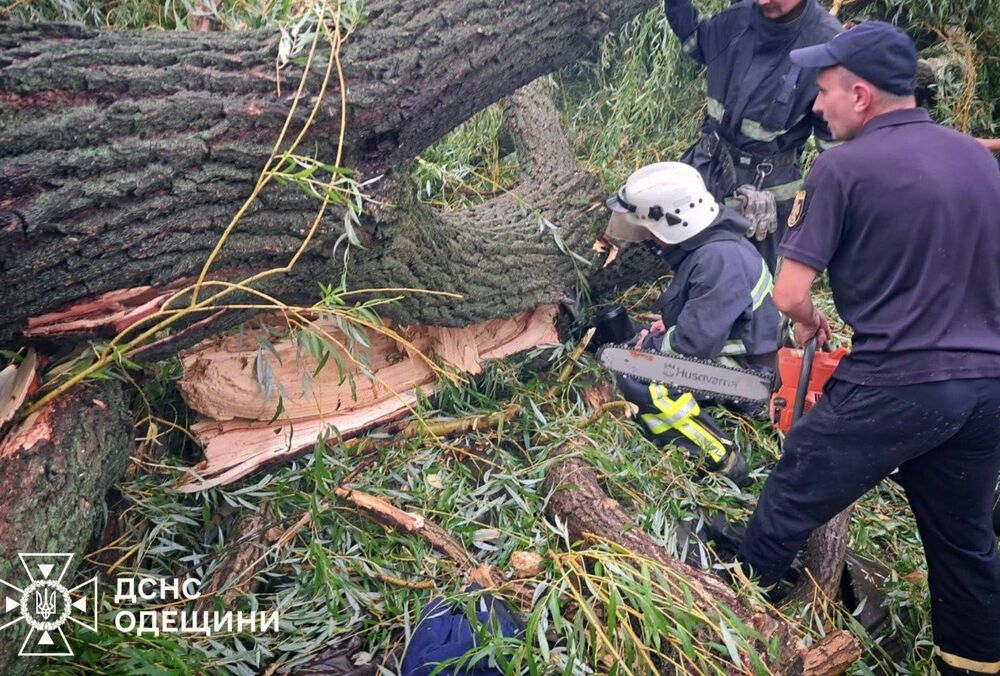 На Одещині дерево впало на намет з підлітками: є загиблий