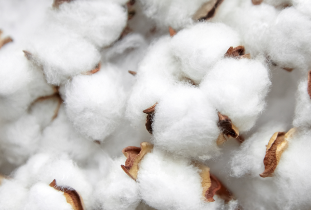 В Мариуполе прогремели около 20 взрывов