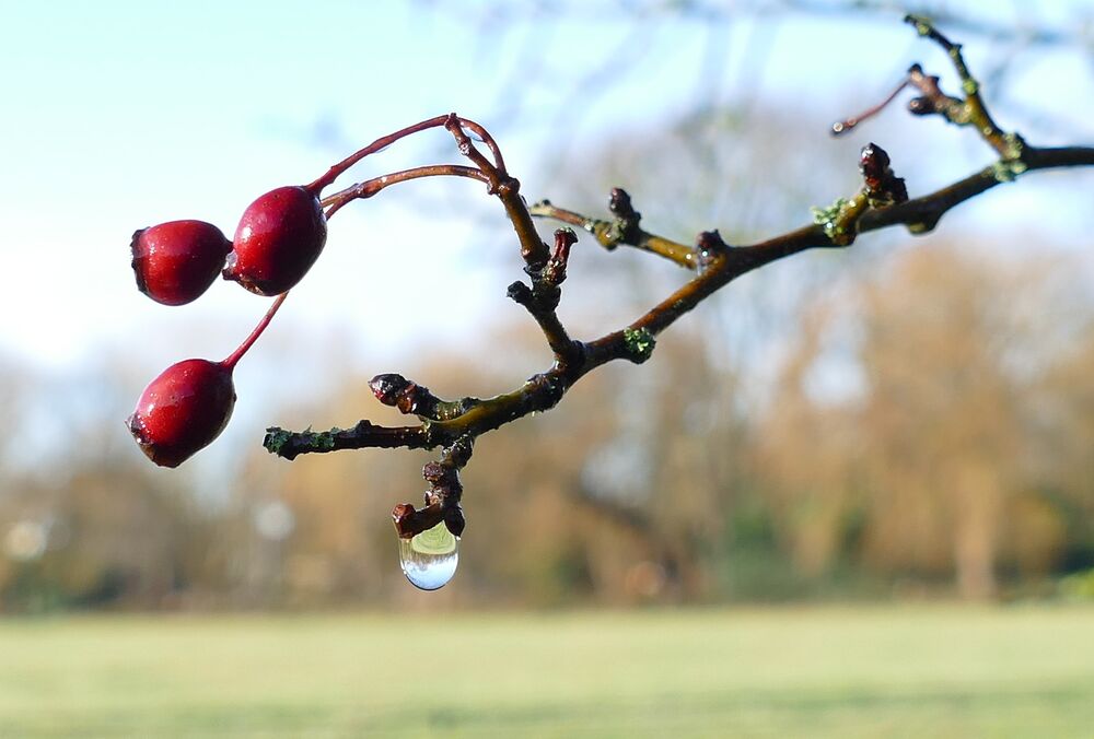 Прогноз синоптиків: українцям ще доведеться потерпіти дощі