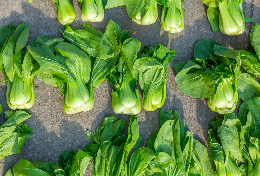 Предновогодние диеты голливудских звезд