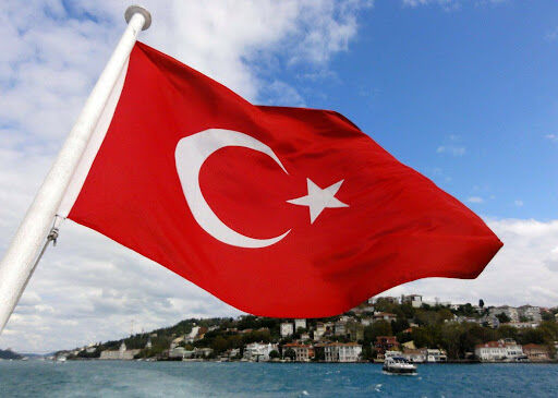 Турция может рассмотреть отправку миротворцев в Украину, - СМИ