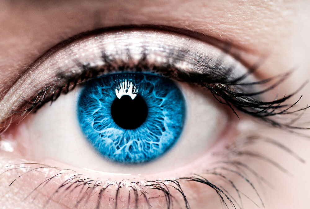 В Іспанії створили першу в світі штучну сітківку ока