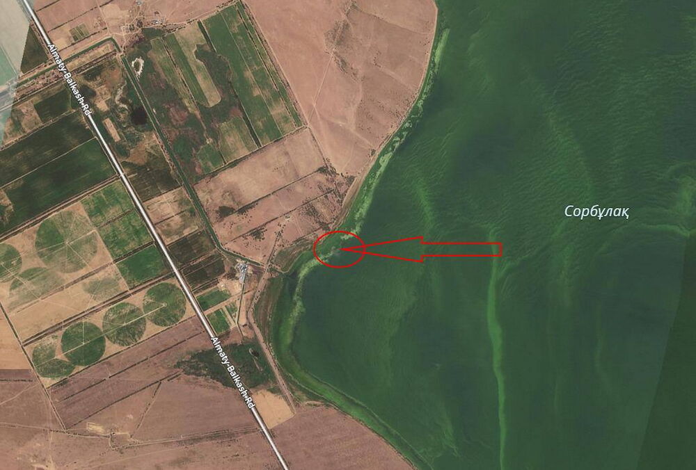 У Казахстані розбився військовий гелікоптер