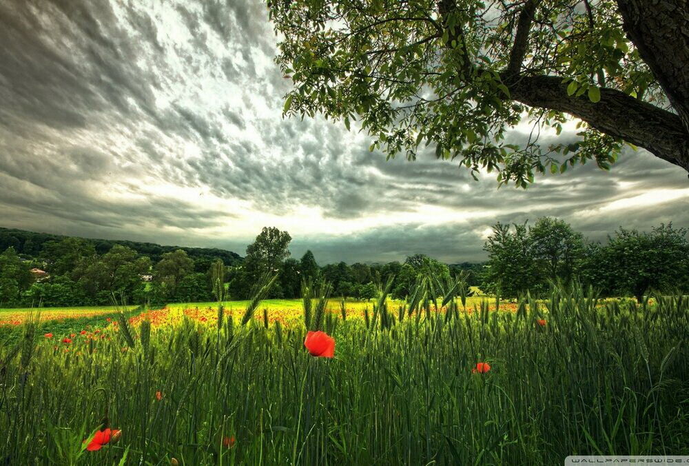 Какая погода будет в Украине в июле