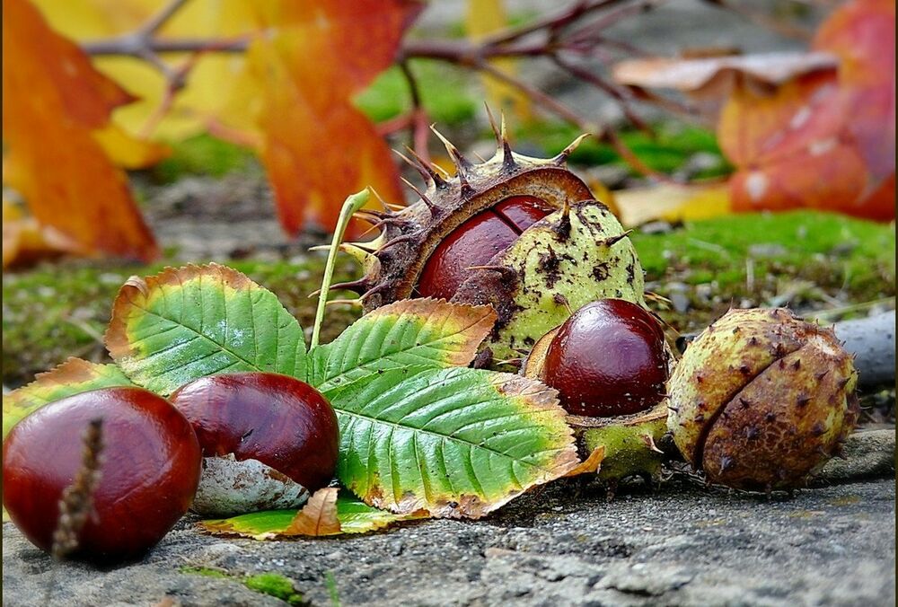 Прогноз погоди: коли Україну накриють дощі