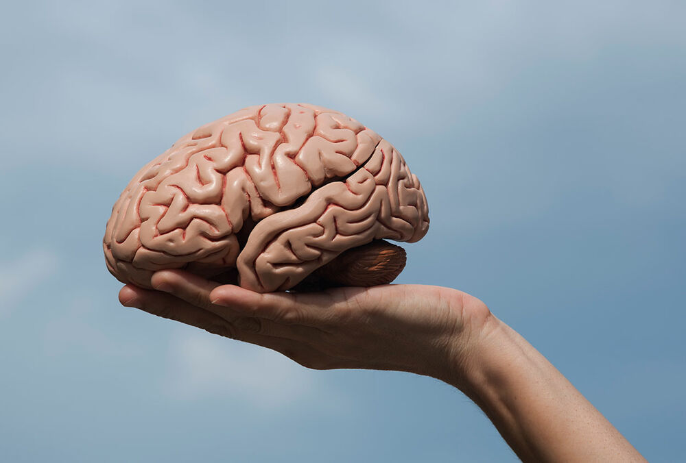 Всесвітній день мозку: які продукти варто вживати для підвищення розумової активності